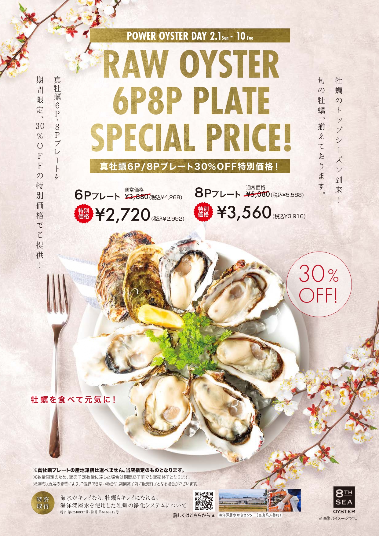 真牡蠣プレート特別価格フェア開催！ | 【公式】THE CAVE DE OYSTER